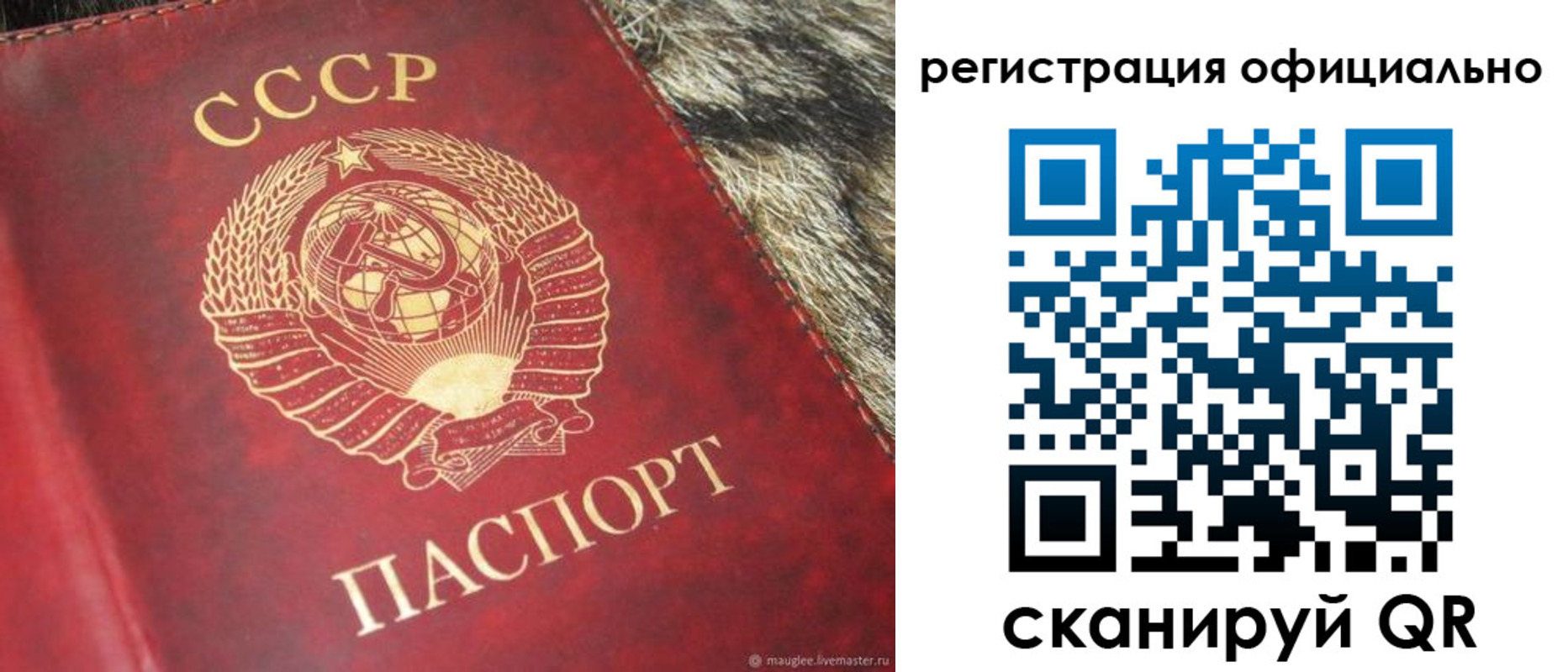 временная регистрация надежно в Лосино-Петровском